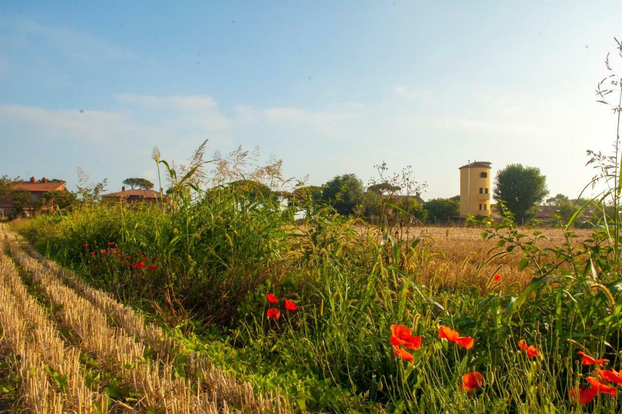 Il Silos Maccarese Ngoại thất bức ảnh