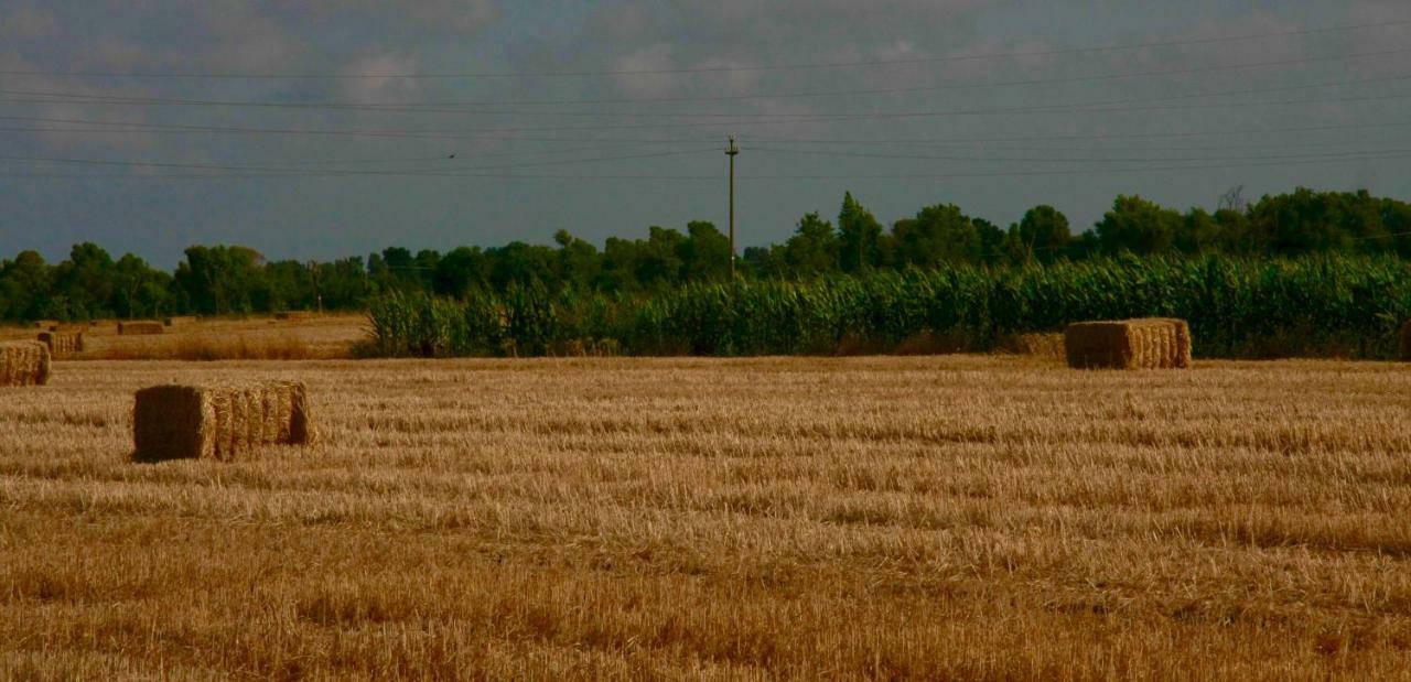Il Silos Maccarese Ngoại thất bức ảnh